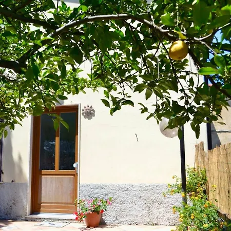 Lemon House Hébergement de vacances *